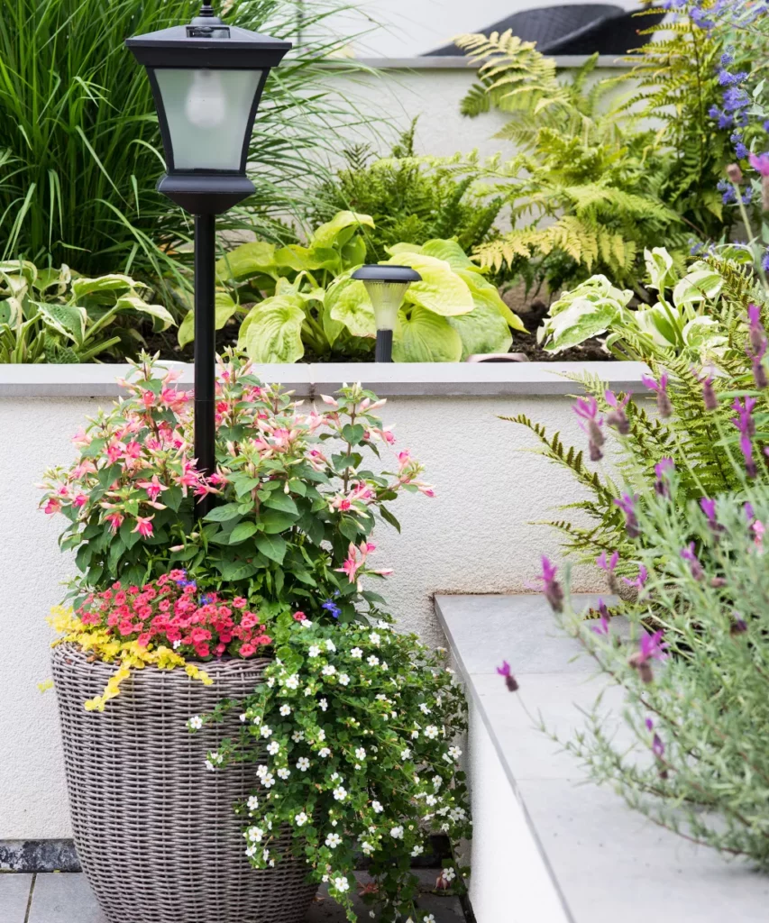 Exemple d'idées de jardin de balcon avec des plantes de différentes couleurs et un pot en osier avec un lampadaire.