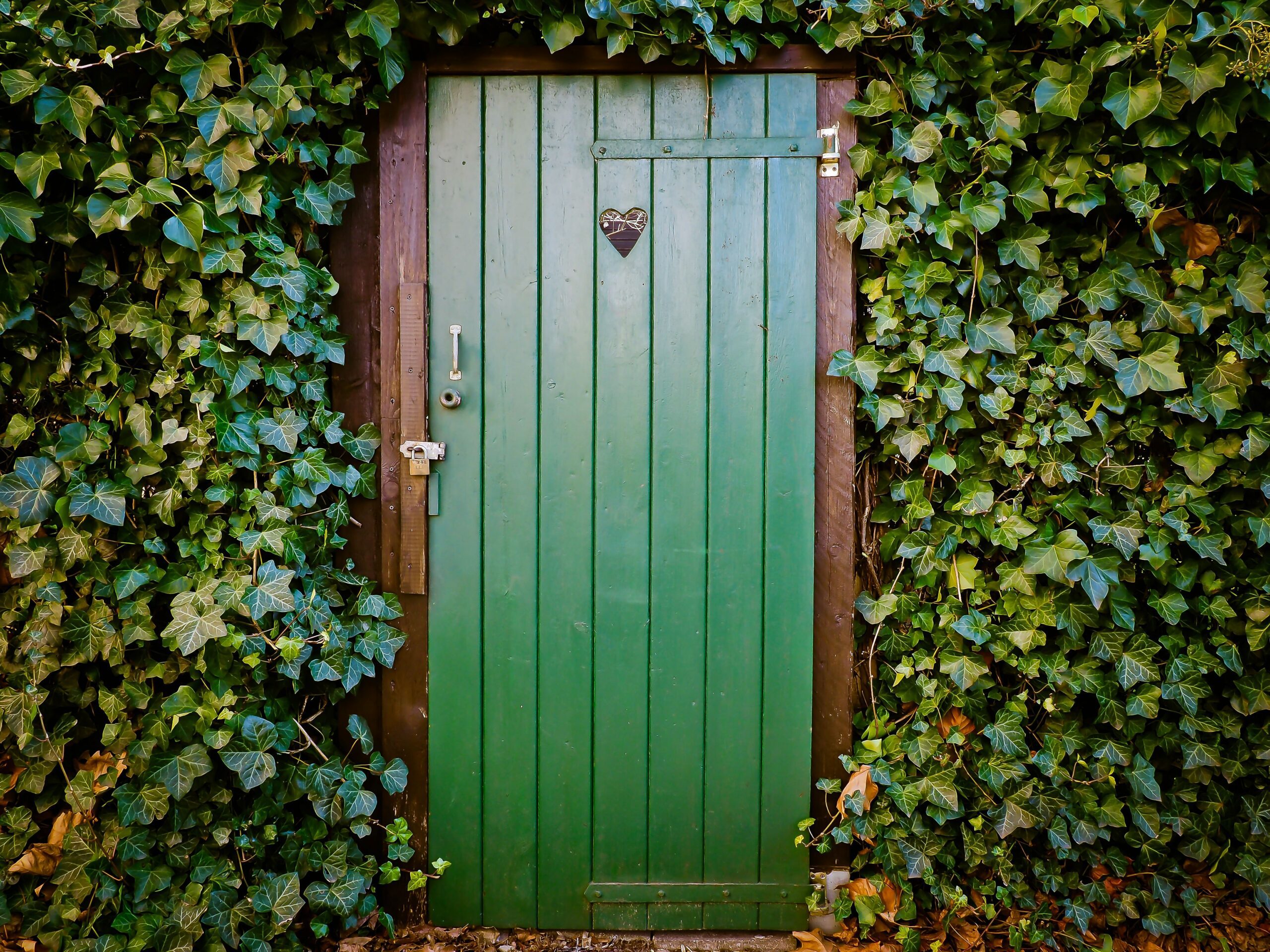 Lire la suite à propos de l’article Comment installer une porte extérieure ?
