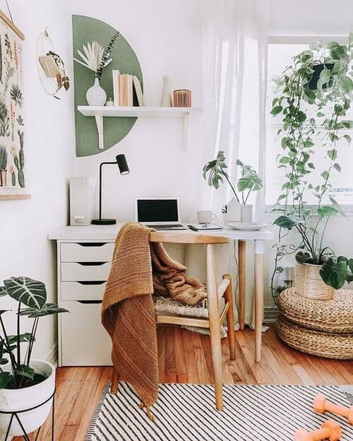 bureau avec plantes vertes