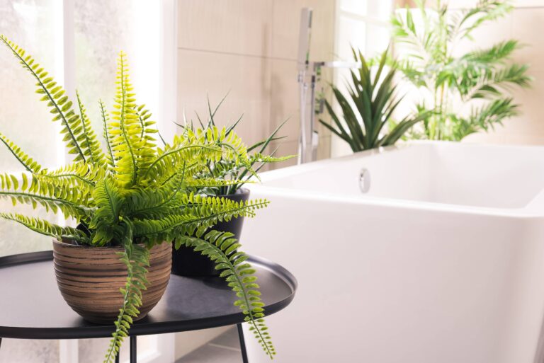 Les 10 meilleures plantes pour la salle de bains