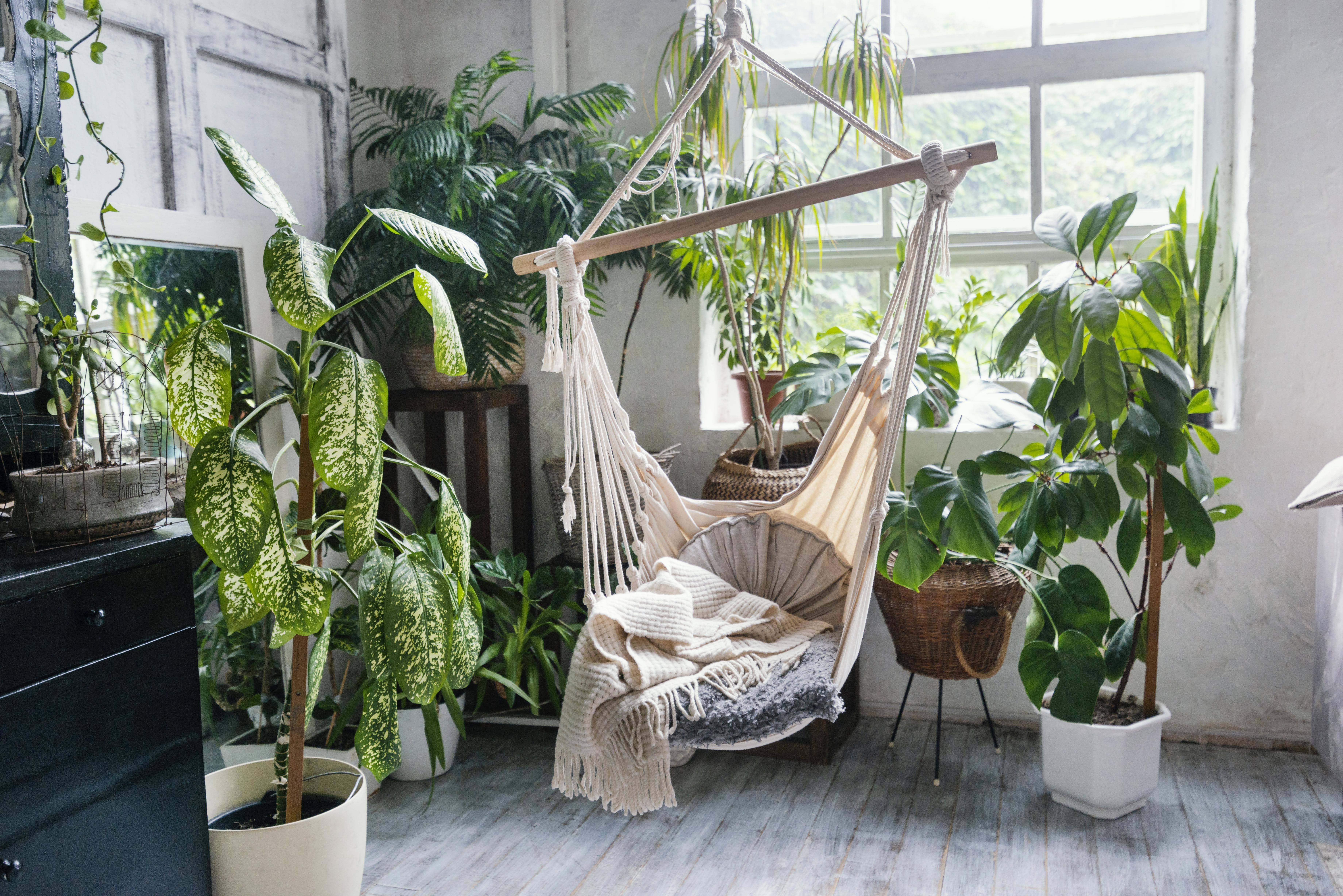 chaise suspendue en corde à l'intérieur entourée de plantes vertes