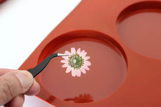 moule en silicone dans lequel une fleur est déposée