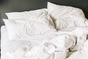 Lire la suite à propos de l’article Les meilleurs conseils pour lutter contre les punaises de lit