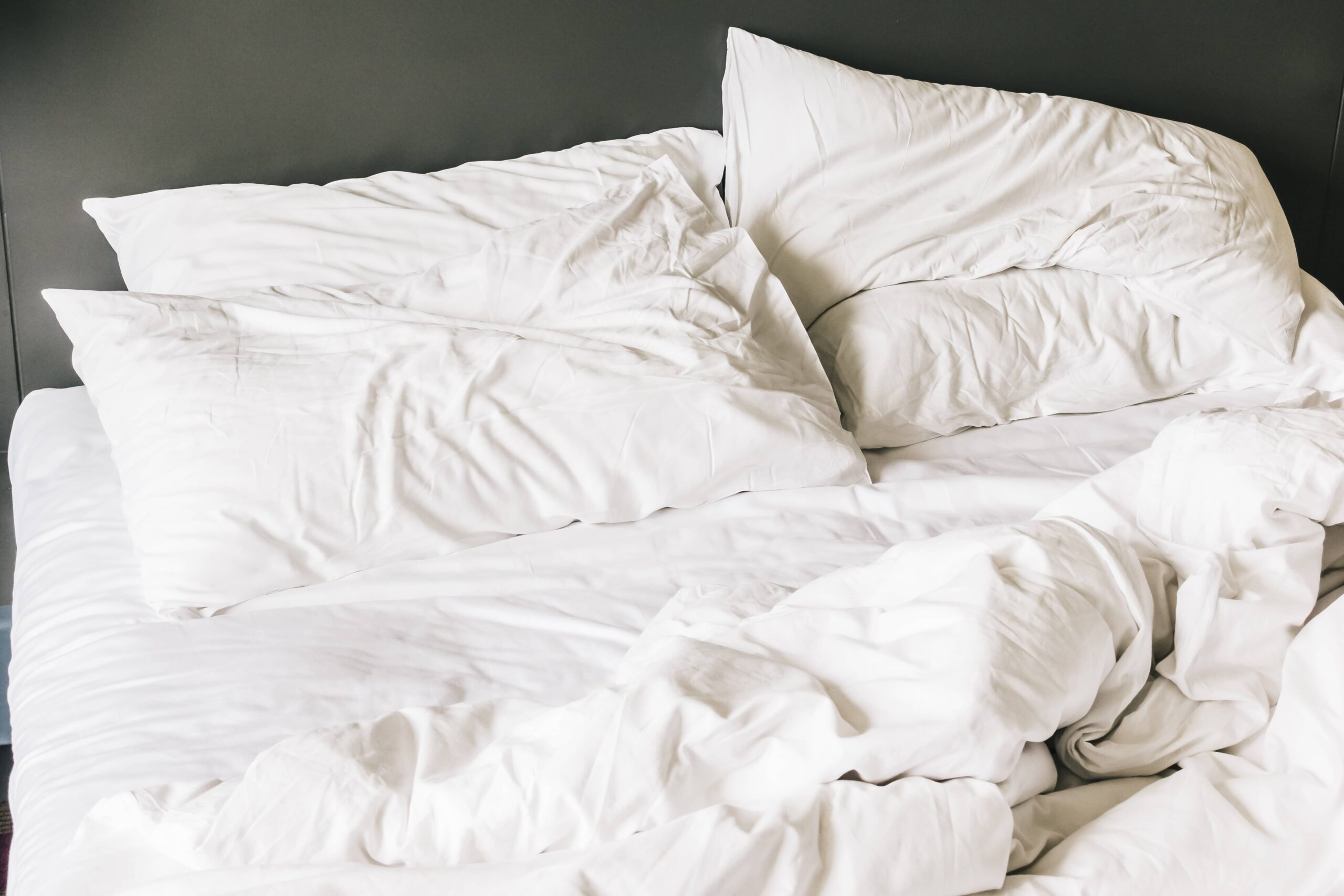 You are currently viewing Les meilleurs conseils pour lutter contre les punaises de lit