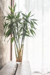 Lire la suite à propos de l’article Astuces pour décorer avec du bambou dans différents espaces de la maison