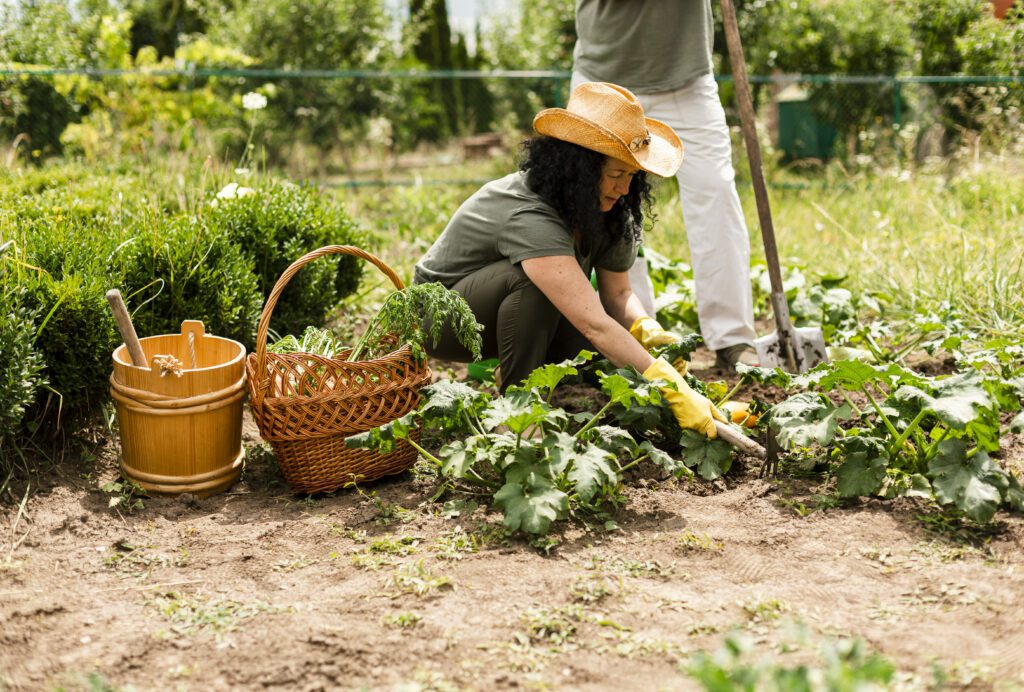 permaculture