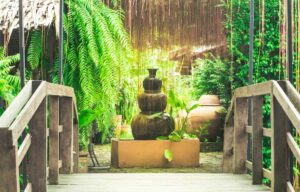 Lire la suite à propos de l’article Les plantes idéales pour un intérieur Feng Shui