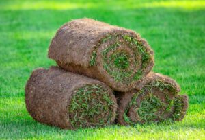 Lire la suite à propos de l’article Comment transformer votre jardin avec un gazon naturel en rouleau