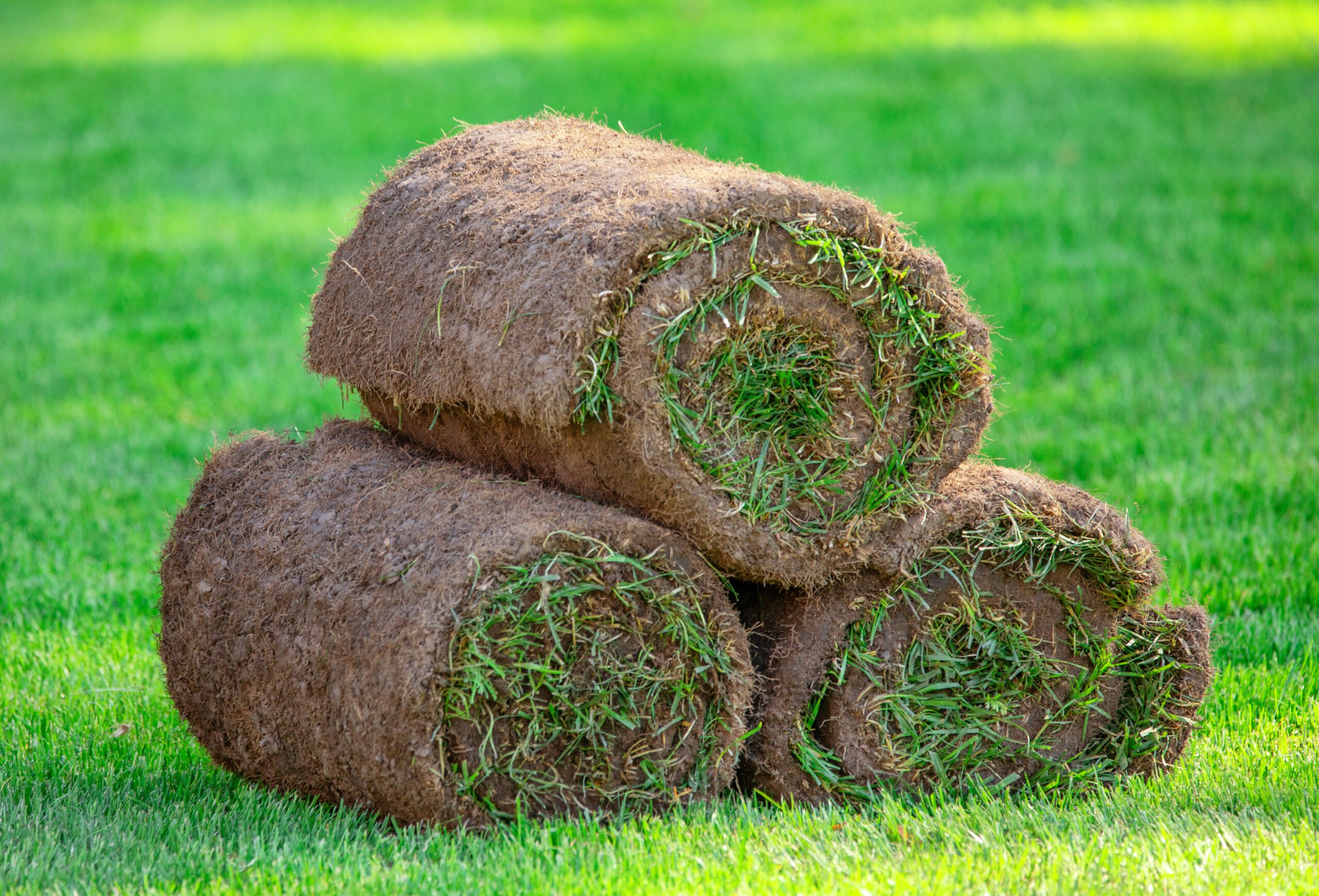 You are currently viewing Comment transformer votre jardin avec un gazon naturel en rouleau