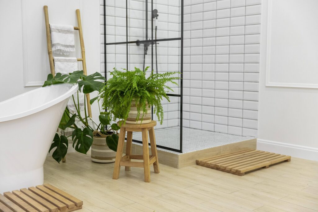 plante pour salle de bains fougère absorbe l'humidité plante qui absorbe l'humidité dans une salle de bain 