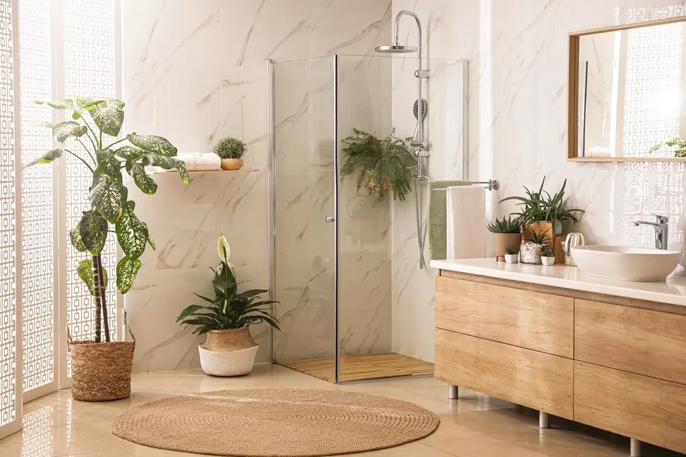 plante absorbe humidité salle de bain sans fenêtre 
